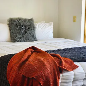  Apartment U On Courtenay New Zealand