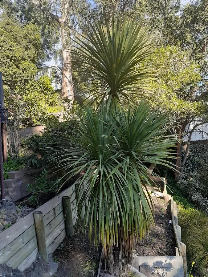 Sherwood Lodge 4-Bedroom Holiday Home With Spectacular Views Christchurch